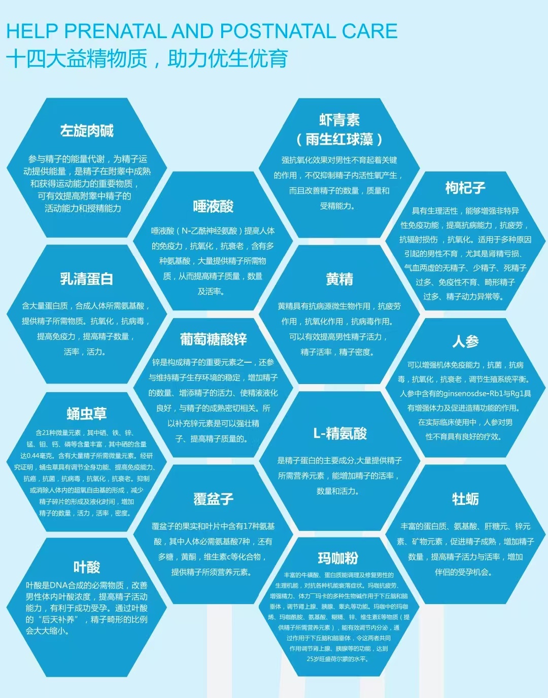 成分.jpg
